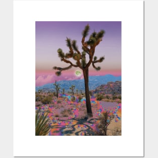 Desert Bloom Posters and Art